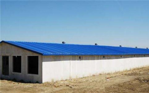 timg (23).jpg timg (23).jpg